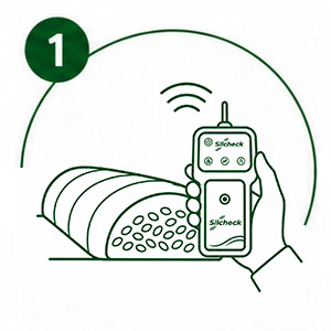 Etapa 1