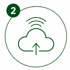 Etapa 2